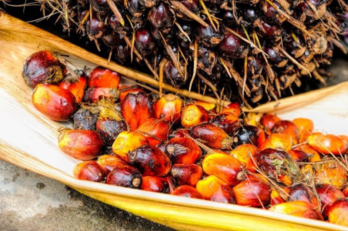 Palm oil promotes spread of some cancers