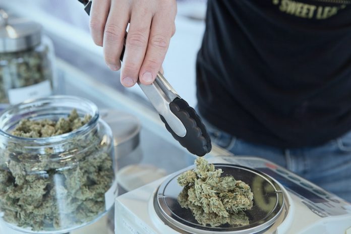 Medical marijuana may lead to rapid cannabis use disorder