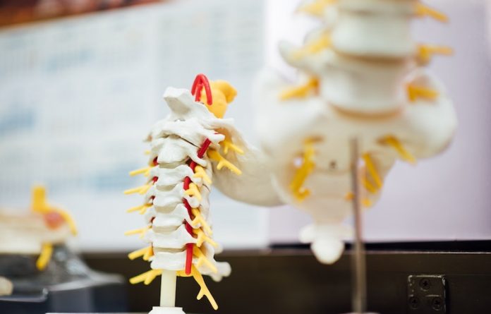 This drug can foster nerve repair after spinal injury