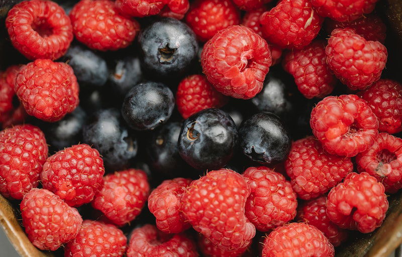 Wild blueberries could help you burn fat in exercise