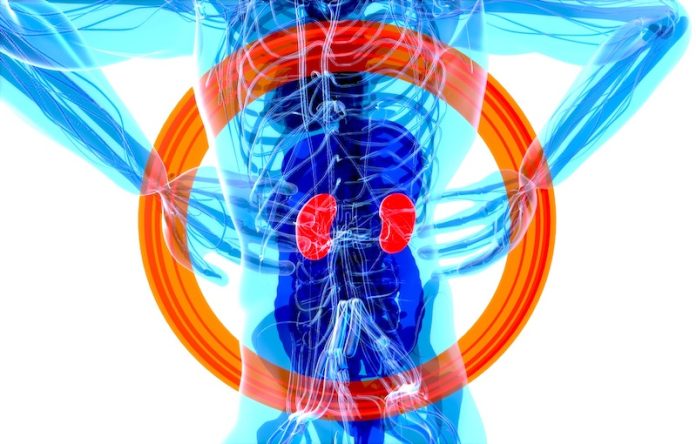Scientists find new cause of kidney damage