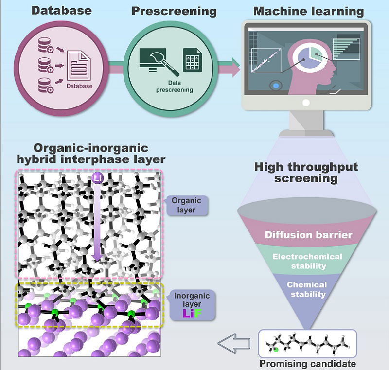 Scientists use smart methods to make safer, more efficient lithium