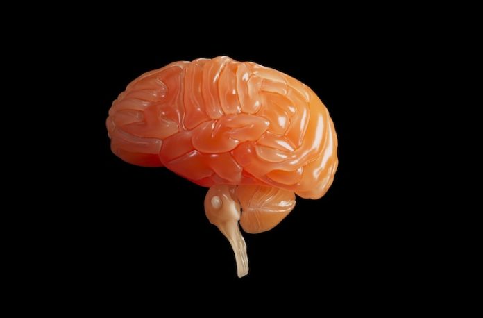 Understanding brain tumors