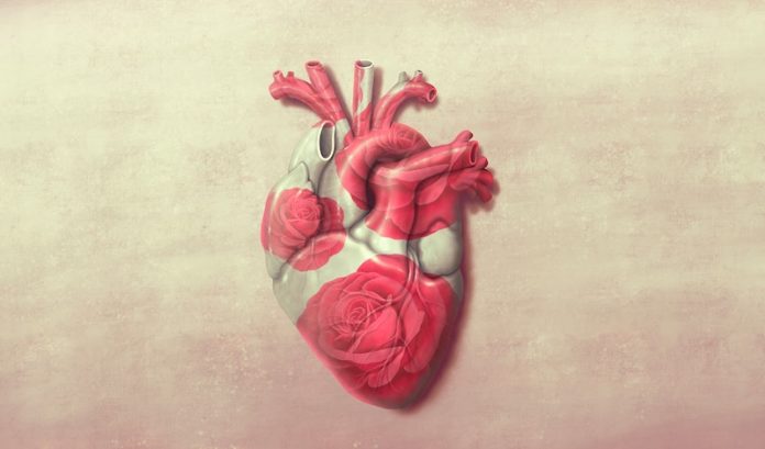 New study finds genetic clues for treatment and prevention of heart failure