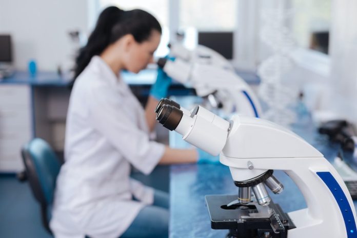 Scientists find a protective gene for chronic kidney disease