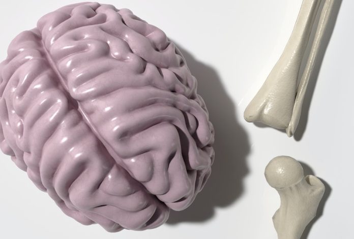 Scientists find new way to detect brain blood circulation problems