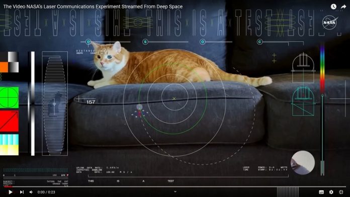 NASA tightbeams a cat video from 31 million kilometers away