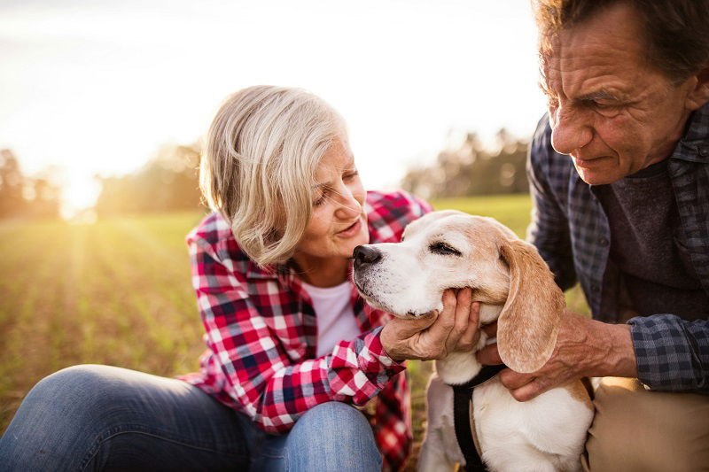 Scientists find what initiate early stages of Alzheimer's disease