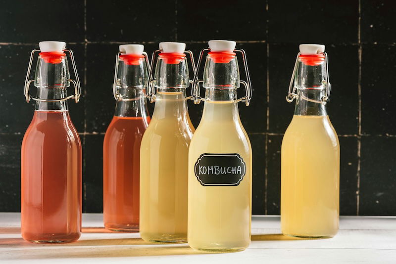 Kombucha probiotics act like fasting to reduce fat storage