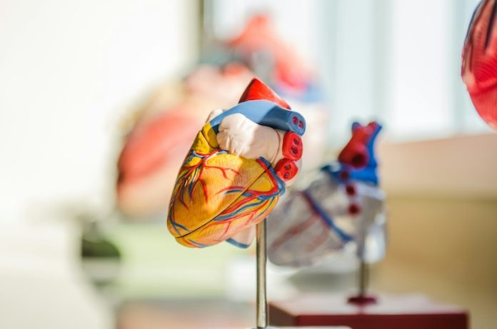 What you need to know about leaky heart valves
