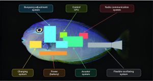 Scientists Draw Inspiration From Fish To Design Advanced Deep-sea 