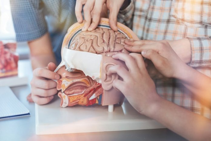 New way to predict cognitive decline in early Alzheimer