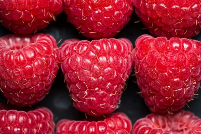 0-Can people with diabetes eat fruit