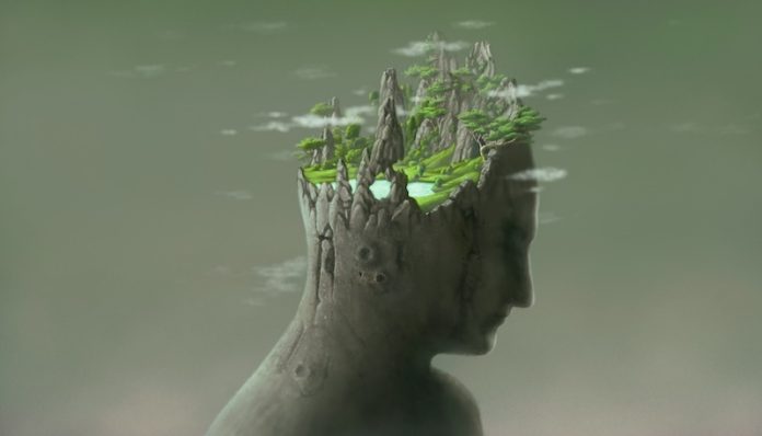 Hallucinations in dementia patients
