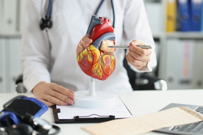 Heart health markers may also predict cancer risk