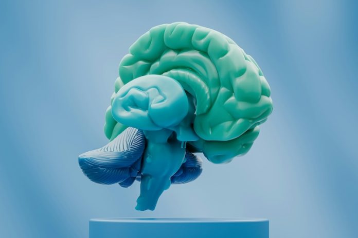 New brain scan may help catch Alzheimer
