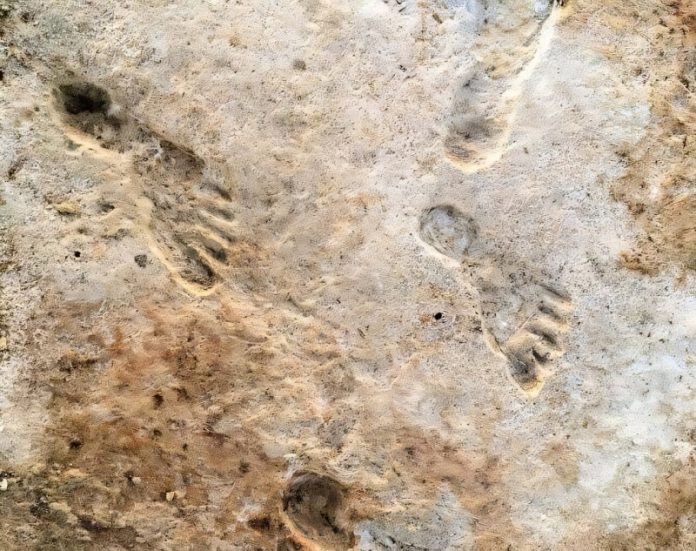 Scientists uncover shocking evidence of humans in America during the ice age