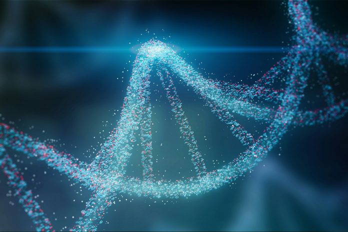 Storing your selfies in DNA Scientists say it’s closer than you think