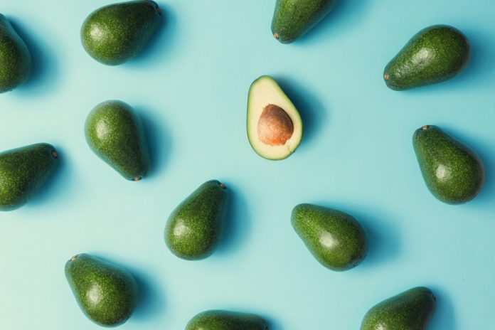 The secret 11,000-year journey of the avocado from cave to toast