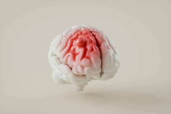 What happens to your brain after a stroke