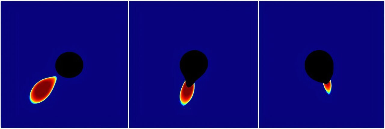 When a black hole devours a star: The cosmic quakes, shockwaves, and signals left behind