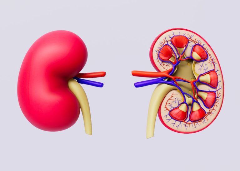 Blood pressure drug may help protect kidneys in people with diabetes Blood pressure drug may help protect kidneys in people with diabetes