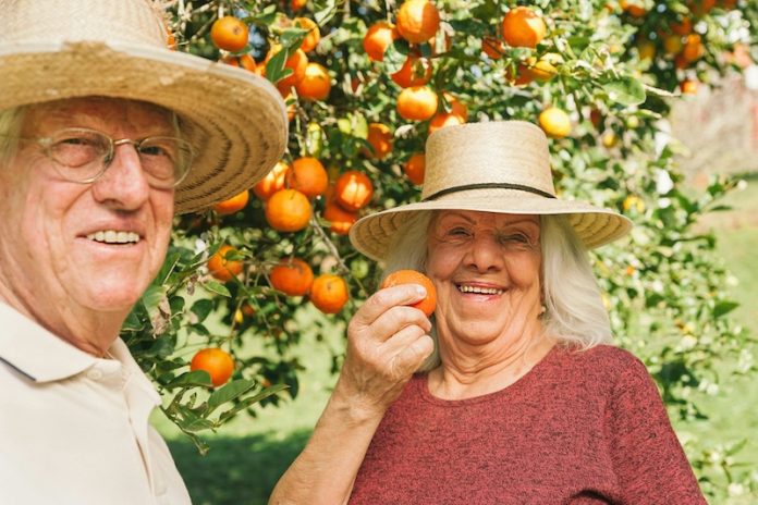 0-These healthy habits may lower dementia risk