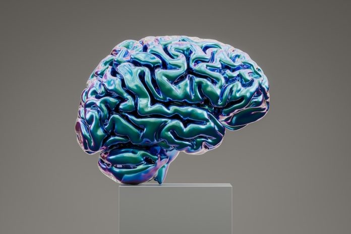 Brain immune Alzheimer
