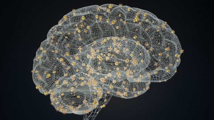 Common chemical brain