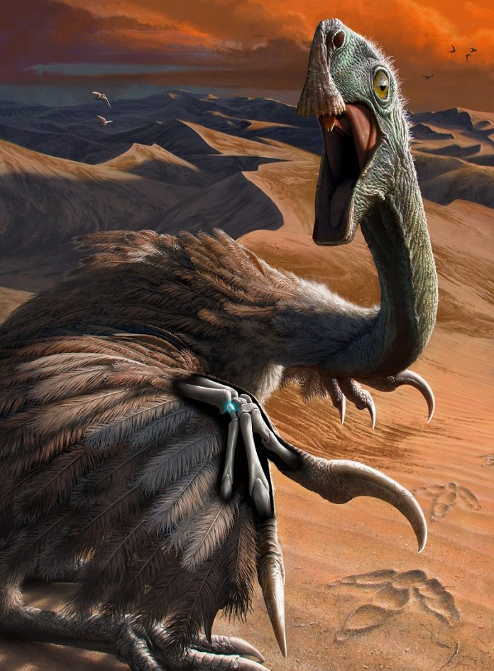 Dinosaur wrist discovery reveals new clue to how flight evolved