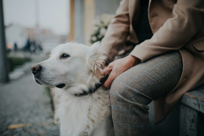 Dogs_Sniff_Parkinsons_Disease