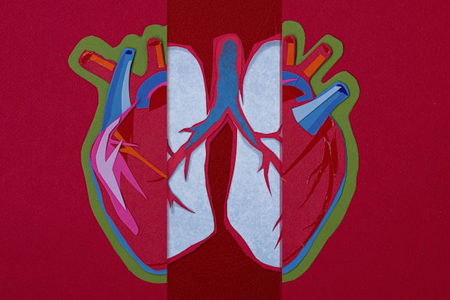 Heart_Failure_Medications_Knowridge