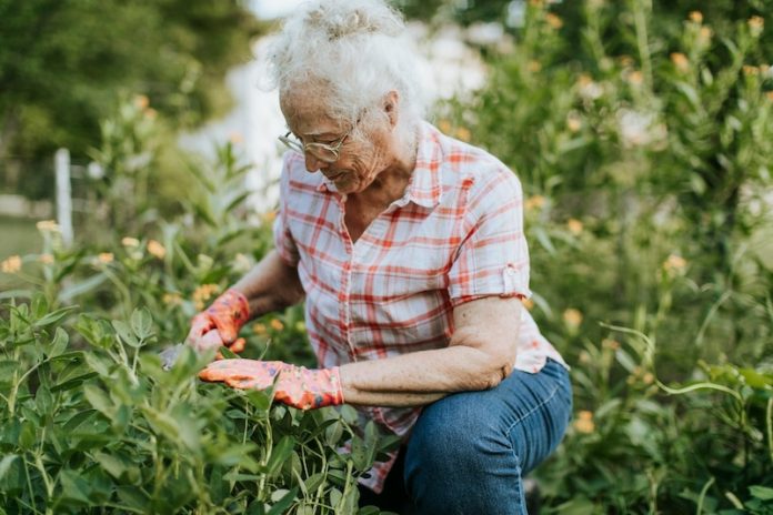 Heart_Health_Brain_Changes_Dementia