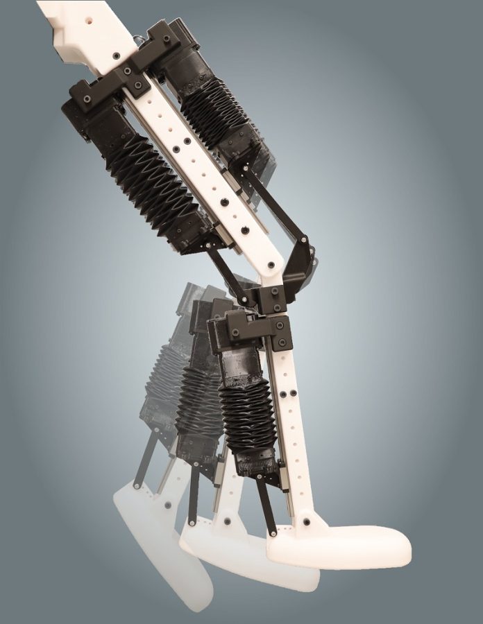 Meet the Muscle-Powered Robot That Moves Like a Human