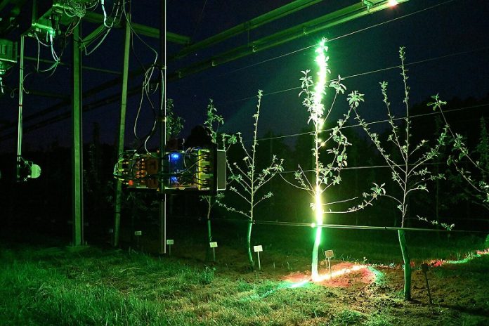 New 3D laser scanner brings smarter harvesting robots closer to reality