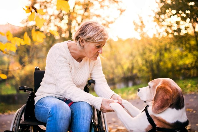 Personalized brain stimulation could improve walking for people with Parkinson’s