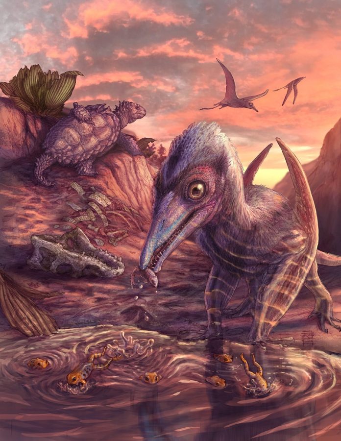 Scientists discover seagull-sized pterosaur in Arizona desert