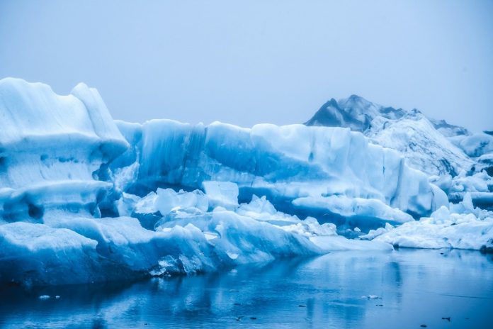 Scientists shocked by rain and greenery in the Arctic