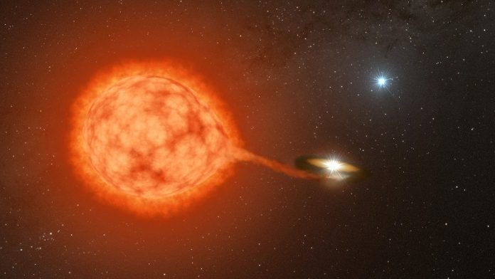 Third Wheel star brings companions closer together