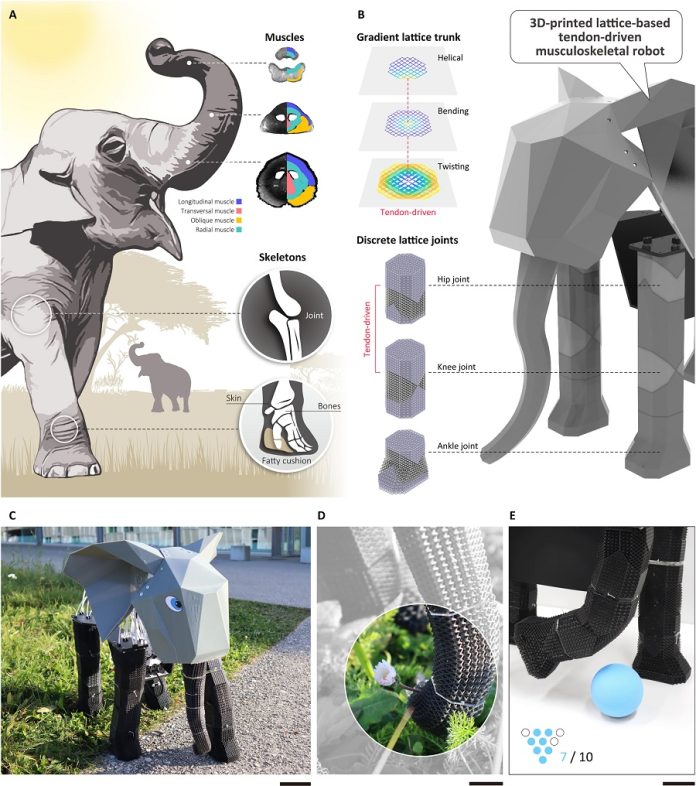 This elephant robot bends, twists, and walks like the real thing