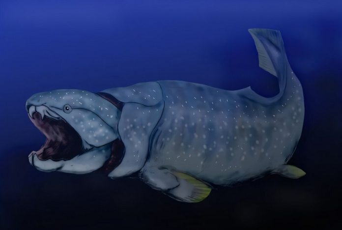 How rising ocean oxygen sparked an explosion of ancient marine life