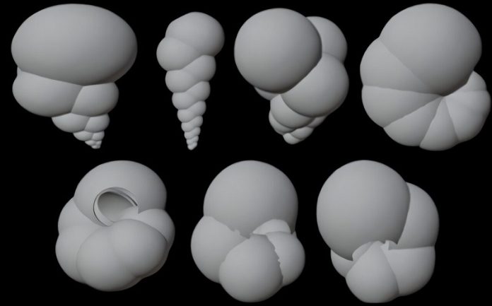 How sand-sized fossil shells are powering a robotic revolution