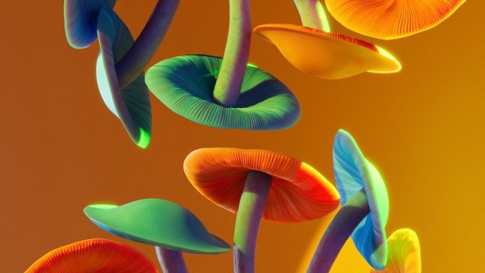 Magic_Mushrooms_and_Aging