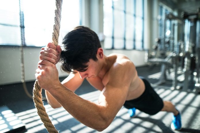 Muscle_Building_Protein_Study