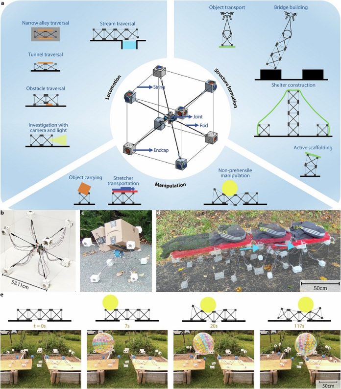 This modular robot could create bridges, rescue tools, and temporary shelters