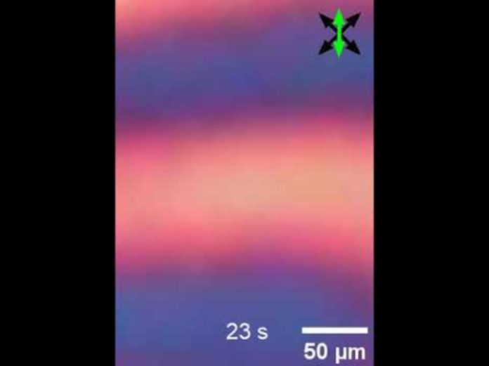 Physicists create a visible time crystal that could change technology