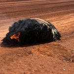 How does a flaming piece of space junk end up on Earth