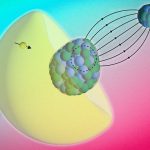 Physicists use molecules to peer inside an atom’s nucleus for the first time