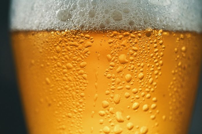 How hops create the compounds that give beer its iconic bitterness