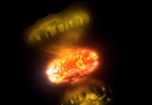 Scientists capture the first high-detail “real-time” images of stars exploding